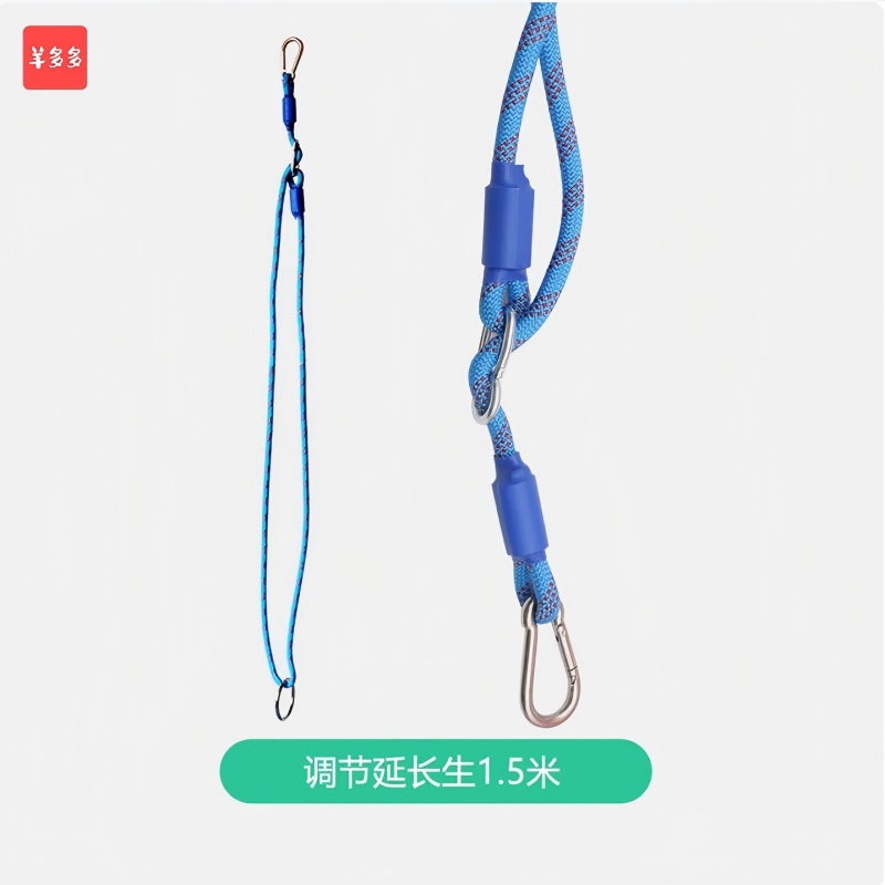 羊多多早教悬吊秋千支架吊环延长绳感统训练器材热气球 调节延长生1.5米高清大图