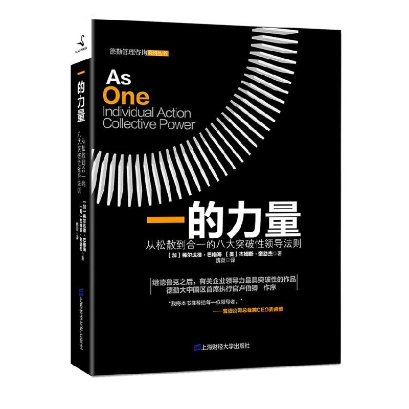 正版新书]一的力量Mehrdad Baghai, James Quigley9787564213961高清大图