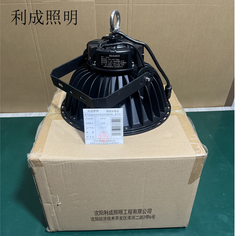 利成照明 工矿灯 250W高清大图