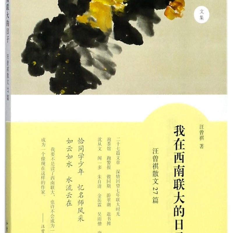 我在西南联大的日子(汪曾祺散文27篇)/汪曾祺文集 [正版]书店我在西南联大的日子(汪曾祺散文27篇)汪曾祺文集用顶风迎高清大图