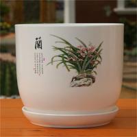 加大加厚pp树脂环保塑料花盆大号绿萝碗莲睡莲荷花无孔水培花盆|兰花盆【有孔】 大号两个装【营养液+碗莲种】