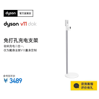 新品 戴森(Dyson) V11 Dok 吸尘器免打孔充电支架戴森人气配件！