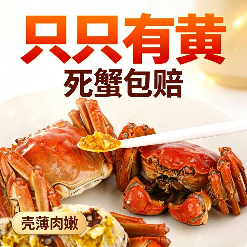 [活蟹]蟹月楼六月黄大闸蟹2.3-2.7两8只 鲜活水产螃蟹 公母随机高清大图