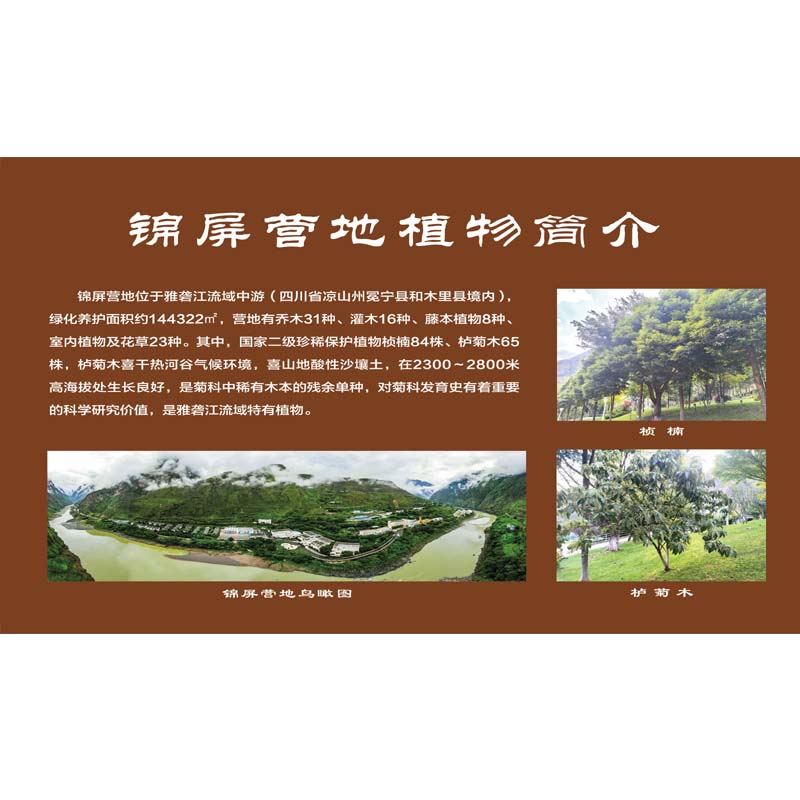 户外写真 尺寸是1.4×1.005高清大图