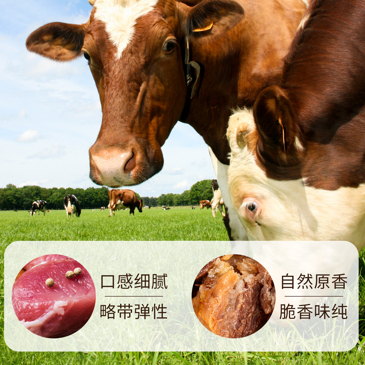 五洲牛肉零食礼盒2068g安徽蒙城特产酱牛肉五香牛肉干粒中秋礼包高清大图