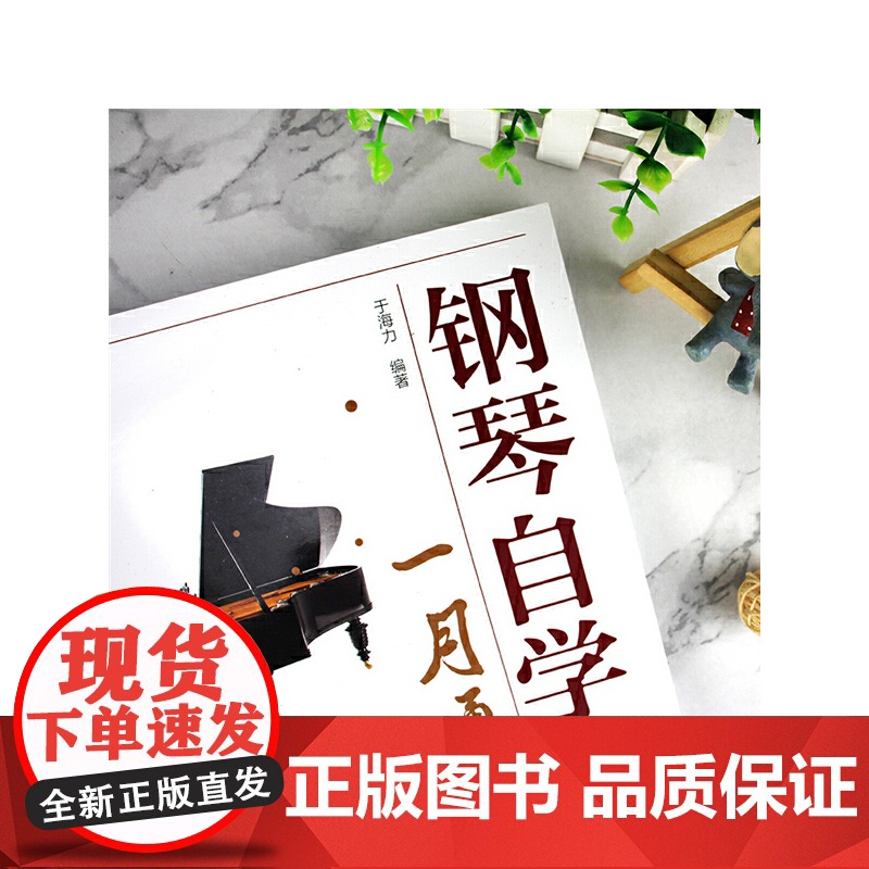 钢琴自学一月通 于海力 化学工业出版社 正版书籍高清大图