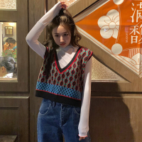 波迷娜(BOMINA)秋季2021新款ins撞色提花V领小个子直筒型外穿马甲背心短款针织衫女 花色背心 均码