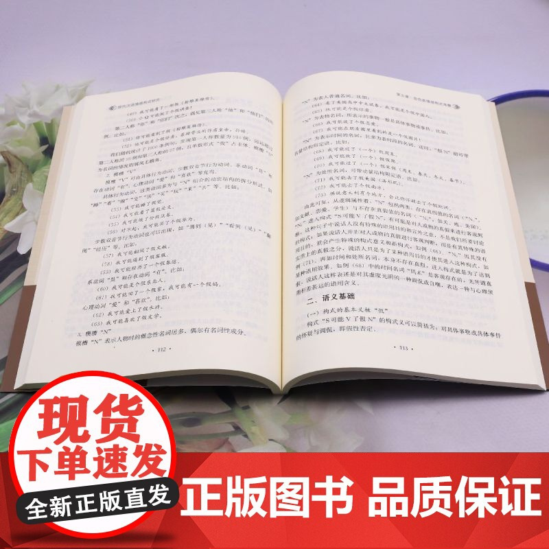 [正版]现代汉语情感构式研究 刘源佳 华中师范大学出版社 9787576905953