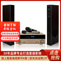 奔腾(BNTN)家庭影院ktv落地式套装 电视卡拉OK组合音响2.0声道 蓝牙830功放配时尚1号主音箱2只