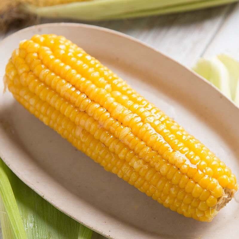 10大棒东北农家粘玉米甜糯玉米棒新鲜黏苞米粒真空黄糯粘玉米2支试吃