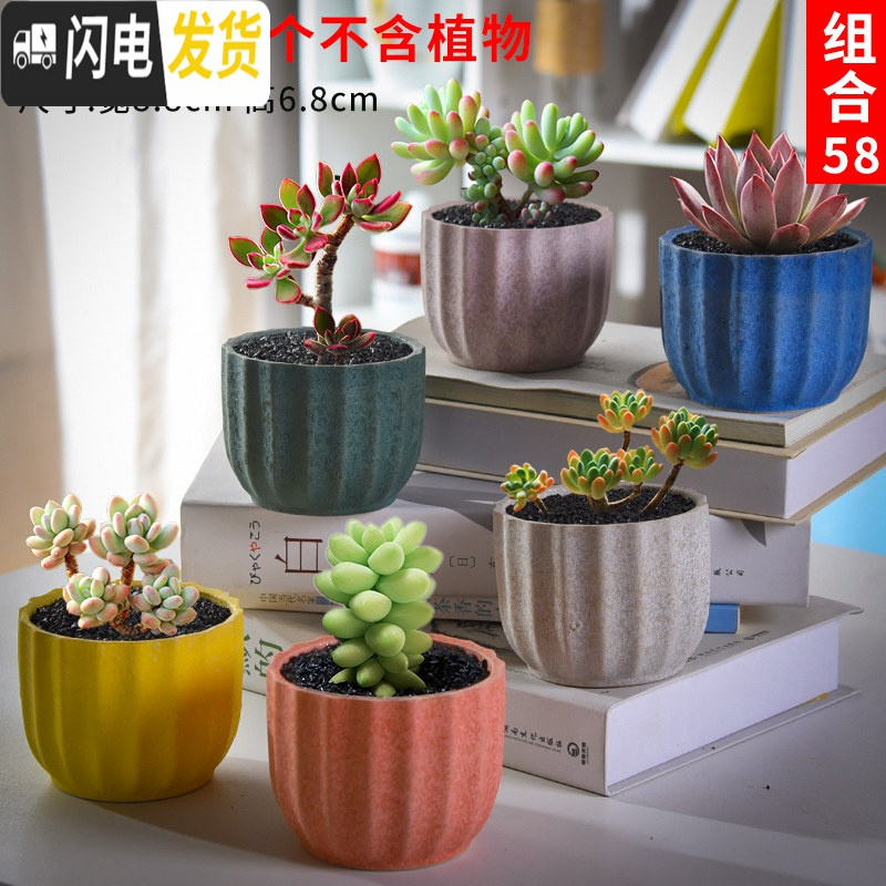 三维工匠多肉花盆套装组合创意个性简约植物盆器室内肉肉花盆批发如图款式3 中等花盆容器参数配置 规格 性能 功能 苏宁易购 三维工匠多肉花盆套装组合创意个性简约植物盆器室内肉肉花盆批发如图款式3 中等花盆容器参数配置 规格 性能 功能 苏宁易购