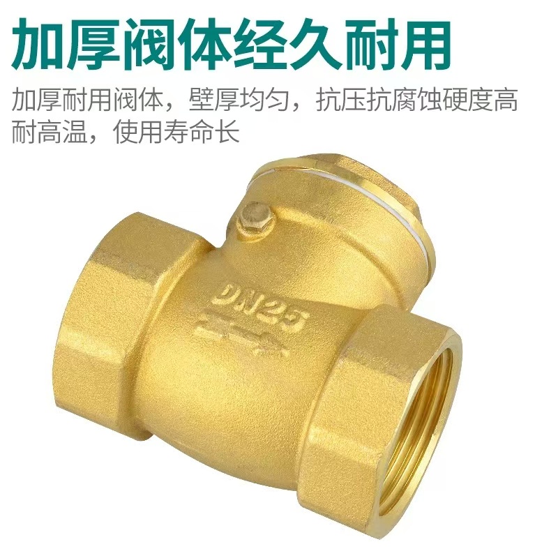 伟鹏双兴 黄铜丝扣卧式止回阀 DN15(4分) 台高清大图