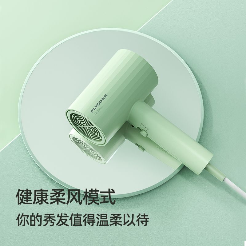 飞科电吹风FH6296高清大图