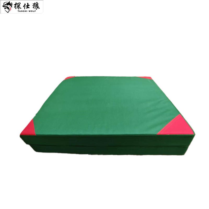 探仕狼 TSL-T211仰卧卷腹训练垫仰卧起坐折叠垫[牛津布两折叠] 5个装 200*100*10cm