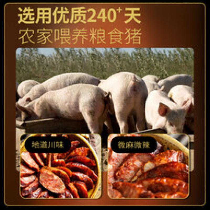 美缀美 重庆非遗特产城口腊肉国潮风川味麻辣广味香肠烟熏手工端午送礼 手工川味腊肠400g[非遗国潮]高清大图