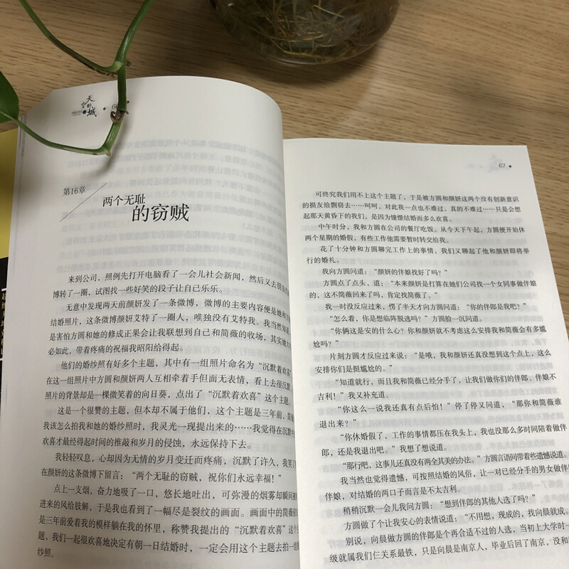 [醉染正版]天空的城1 原名《我的26岁女房客》17K小说网签约作家 **大坦克科比/著 虐心情感类书籍 纯爱情感爱情小高清大图