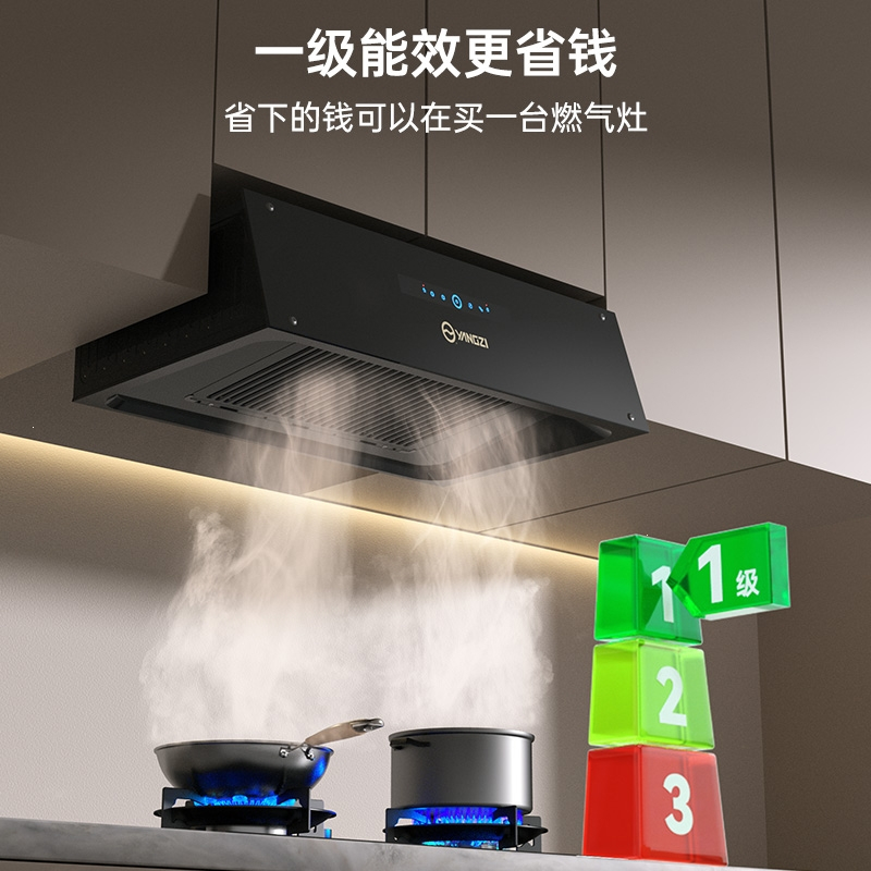 扬子油烟机顶吸家用大吸力厨房自动清洗吸油机出租公寓小型抽烟机_上门安装彩屏挥手感应热清洗油烟分离双平网