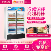 海尔(Haier)冷柜SC-650HL 624升 单温冷藏保鲜柜 饮料啤酒柜 冷柜商用大容量 立式双门展示大冰柜