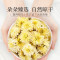 庄民贡菊25g/罐 贡菊花 菊花茶 精选大朵好货黄山贡菊 金丝贡菊 花草茶叶泡水