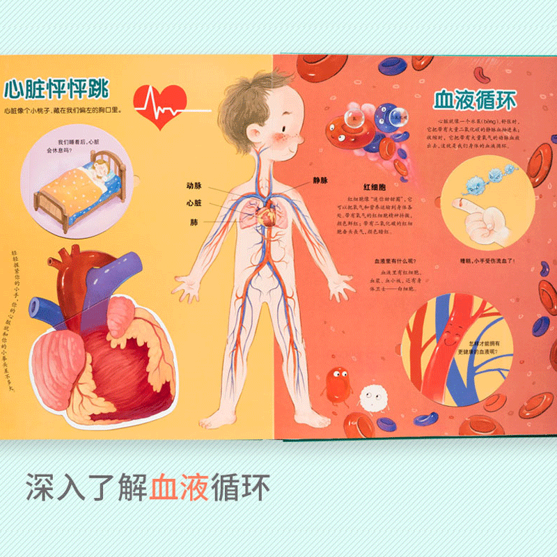 [醉染正版]我们的身体立体书儿童3d立体书人体揭秘系列百科精装绘本适合6-7-8-10岁以上儿童生日礼物翻翻书3-5-1高清大图