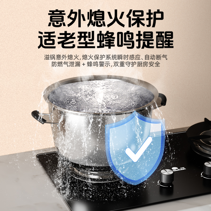 红日(RedSun)家用台嵌两用熄火保护 固定定时 1200℃猛火燃气红外线灶 节能省气灶EX26B液化气高清大图