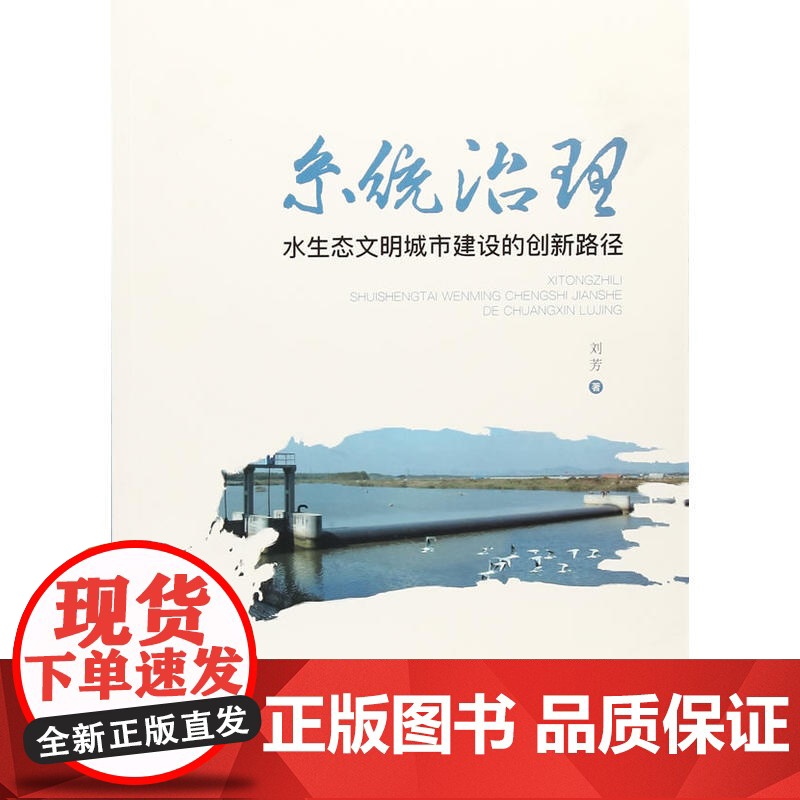 系统治理:水生态文明城市建设的创新路径