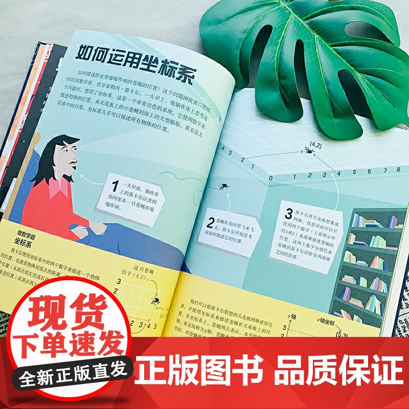 正版童书 DK了不起的数学思维 6-8-10-12岁小学生儿童幼小衔接益智早教启蒙经典课外阅读书籍科普百科知识逻辑培养思高清大图