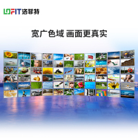 洛菲特(LOFIT) P2 全彩小间距 显示器 LFT-SC20
