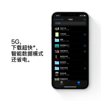 [原封正品]Apple iPhone 12 Pro 256G 银色 6.1英寸 移动联通电信5G全网通手机 港版 [双卡双待]