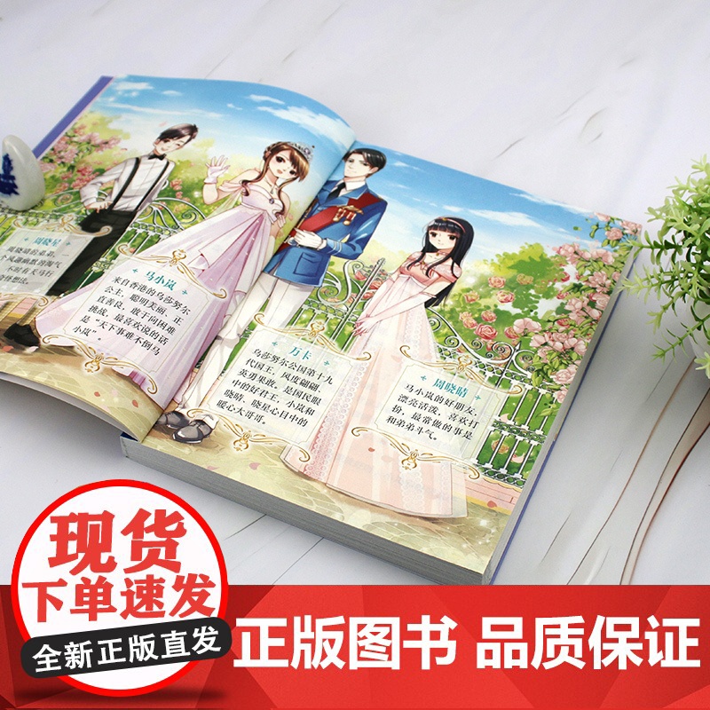 智慧公主马小岚纯美爱藏本 走进电视剧的公主 十届冰心奖作家倾力打造 无数女孩迷恋的幽默惊险公主故事 小学生课外阅读成长书高清大图