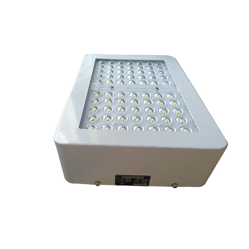 晖特LED雨棚灯HPD116L/36W/盏高清大图