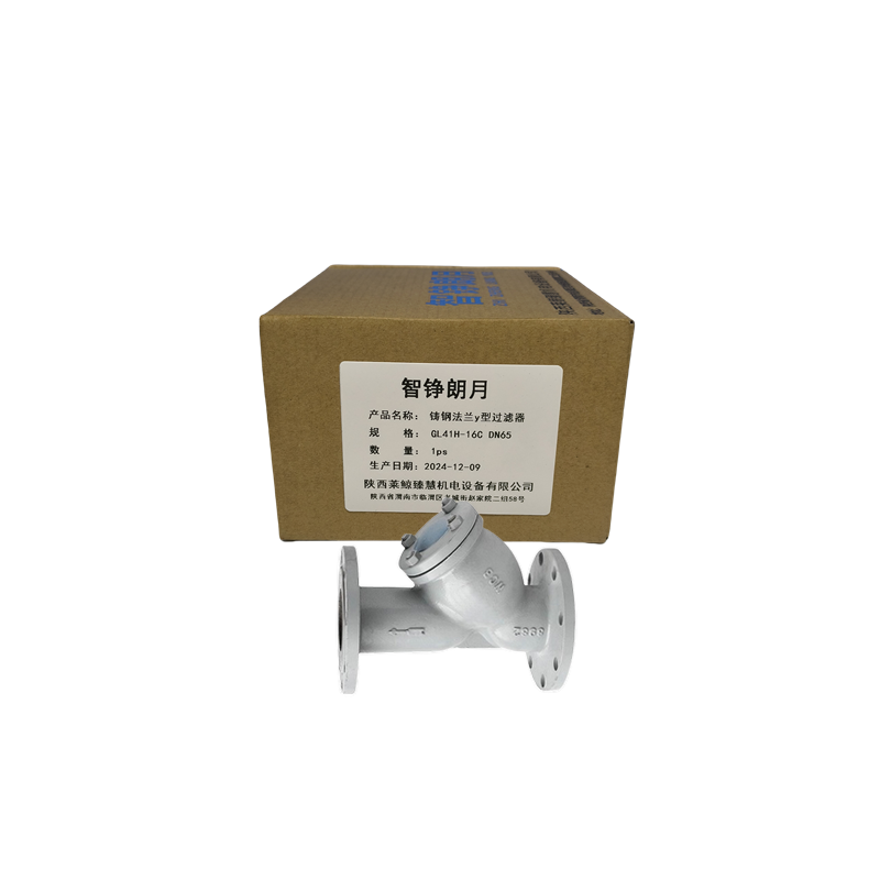 智铮朗月 铸钢法兰Y型过滤器 GL41H-16C DN65 个高清大图