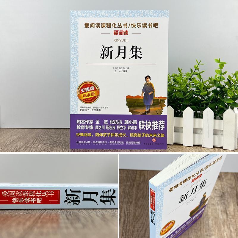 实惠6册:小学生诗歌选集 [正版]新月集泰戈尔中文版 小学生现代诗精选诗集给孩子的诗歌散文诗全集三四五六年级上册下册课外