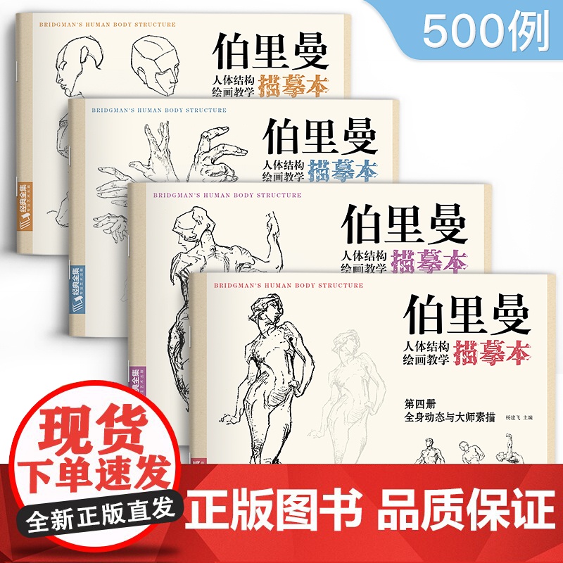 伯里曼人体结构教学描摹本[四册全套] 正版速写人物结构绘画练sh高清大图