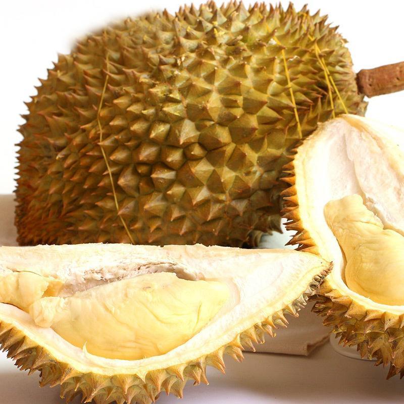 泰国进口 金枕头榴莲 1.5-2kg 1个装 新鲜水果