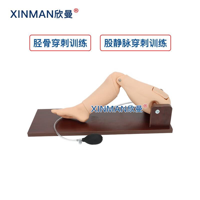欣曼科教 胫骨穿刺训练模块 骨髓穿刺及股静脉模型 骨内灌注及股静脉穿刺腿部模型XM-GC1高清大图