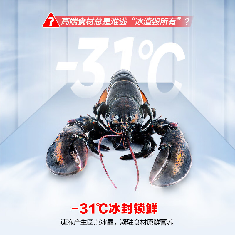 容声460升法式多门四开门超薄嵌入式电冰箱家用一级能效风冷无霜节能BCD-460E30FZLAD国家补贴高清大图