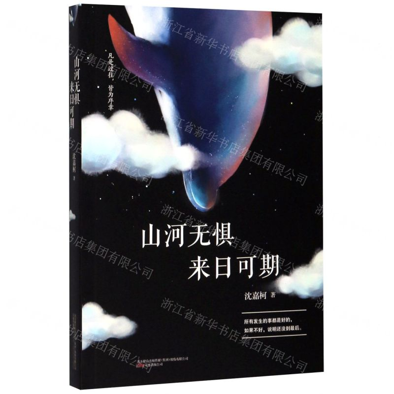 【N】山河无惧来日可期-9787547053171