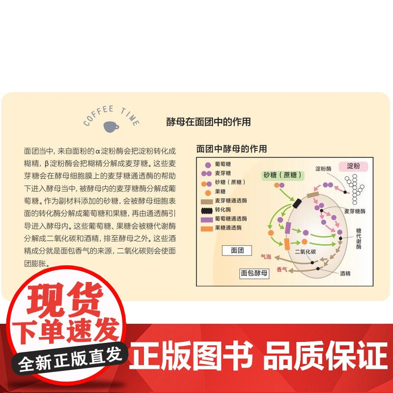 [店]手作面包科学 竹谷光司力作 生活 美食 烘焙 面包入门者的不二选择,用手作感受科学的温度高清大图