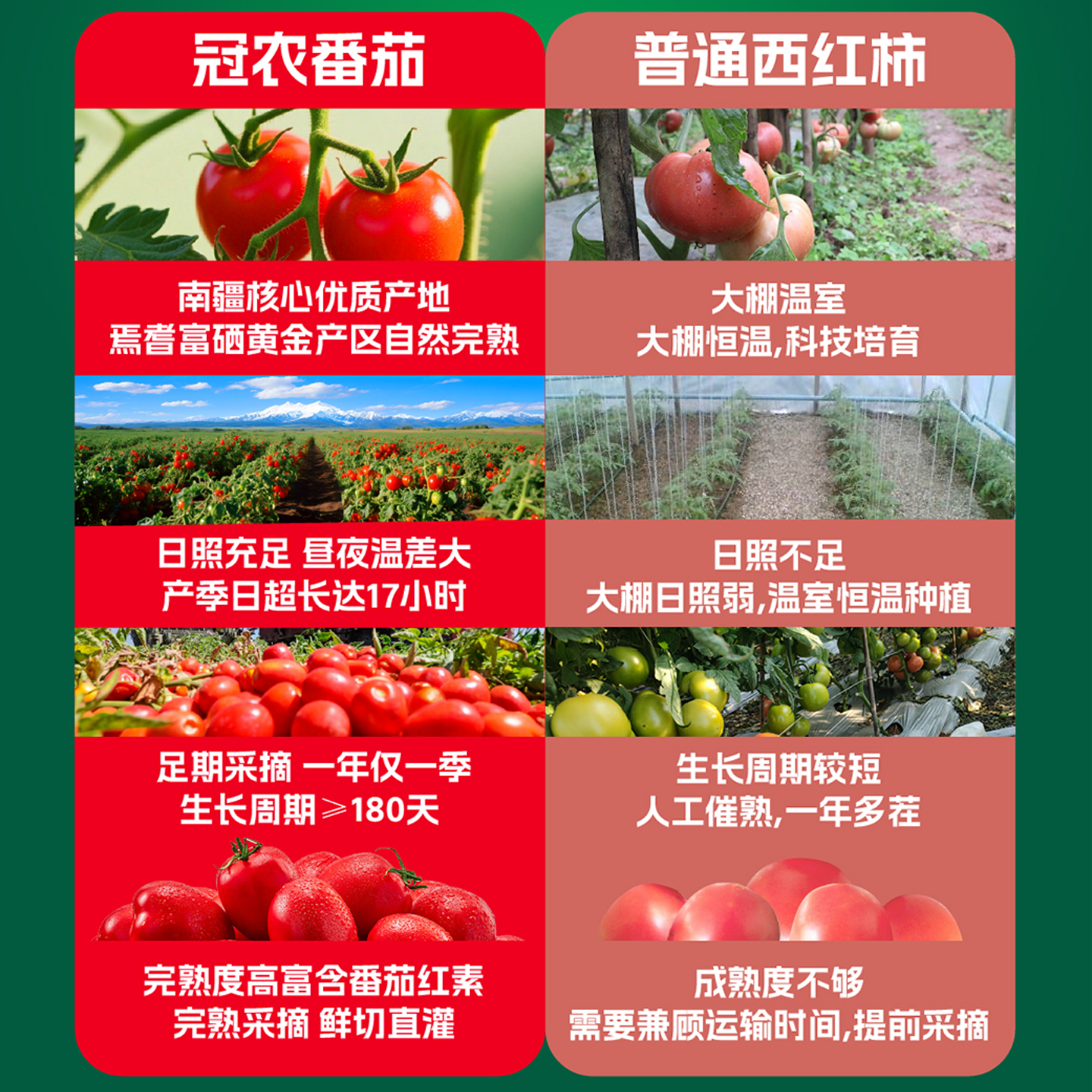 冠农股份(GUAN NONG SHARE)番倍爽番茄汁 新疆西红柿原榨果蔬汁早餐健康饮品 310ml*6罐[微糖]高清大图