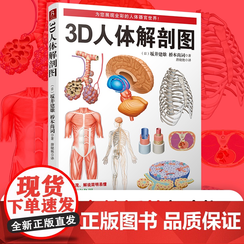 3D人体解剖图200个精密3D图例人体肌肉解剖运动解剖学断层局部解剖学图谱教材卫生解剖生理学专业基础医学图谱人体解剖学书高清大图