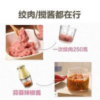 小熊(Bear)料理辅食机 家用婴儿宝宝绞肉机食物搅拌机 多功能迷你小型电动切碎机 0.6L玻璃杯体 QSJ-B02R1