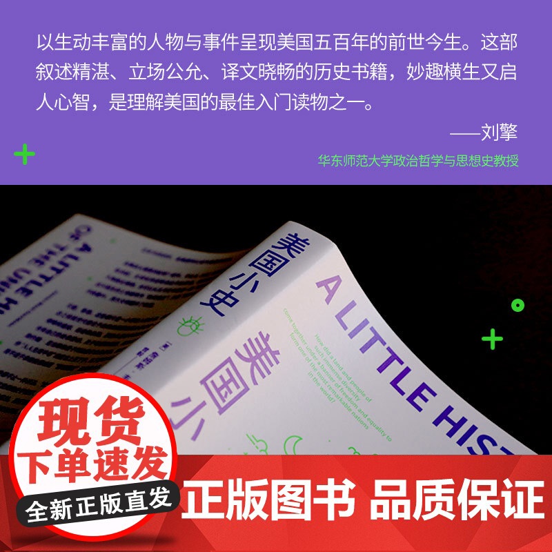 美国小史 一部美国何以成为美国的历史,美国历史经典入门书,王希、刘苏里、刘擎等名家一致 特朗普 许倬云高清大图