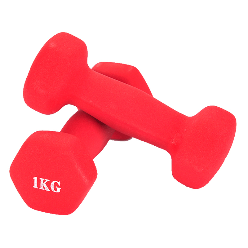 多德士 Dds 哑铃多德士小哑铃塑臂跳操瑜伽2kg2公斤女士儿童家用健身器材亚铃 价格图片品牌报价 苏宁易购多德士官方旗舰店