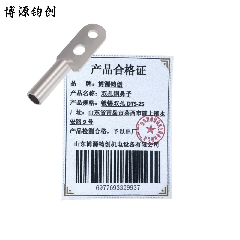 博源钧创 双孔铜鼻子 镀锡双孔DTS-25 个高清大图