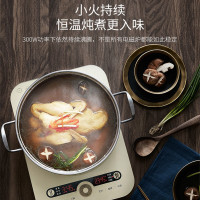 苏泊尔(SUPOR) 电磁炉触摸屏 智能家用触摸屏火锅电池炉电磁灶 蒸炖多功能 C22-IM10