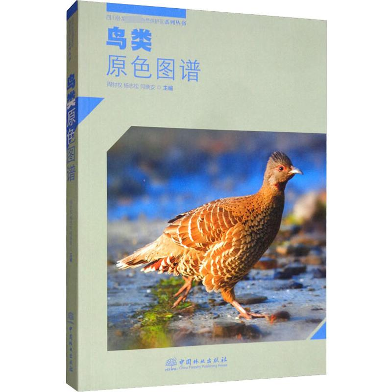 【M】鸟类原色图谱-9787521901528