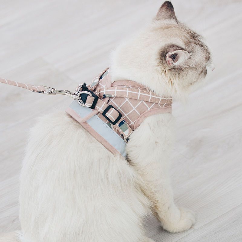 猫咪牵引绳猫链子防挣脱可调节背心式溜猫绳子外出专用遛猫绳用品报价