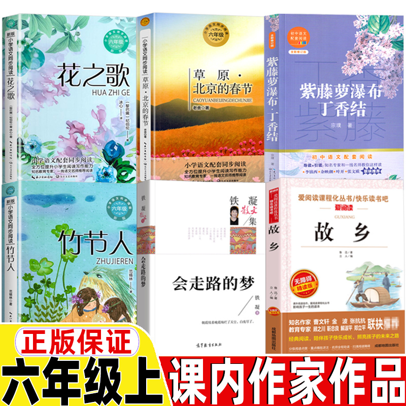 竹节人[范锡林 著] [正版]汉字树活在字里的中国人廖文豪编著汉字类六年级上册必读的课外书世纪三国水浒传绘本卡夫卡变虫记