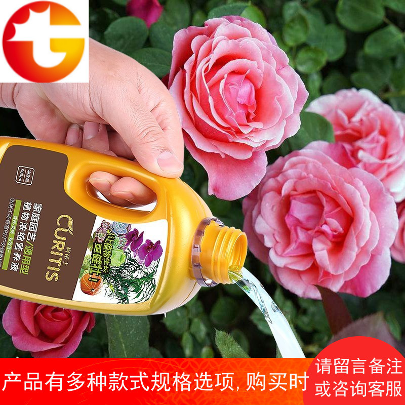 虹越 500ml液体肥 3瓶入微量元素盆栽植物通用/专用花肥料